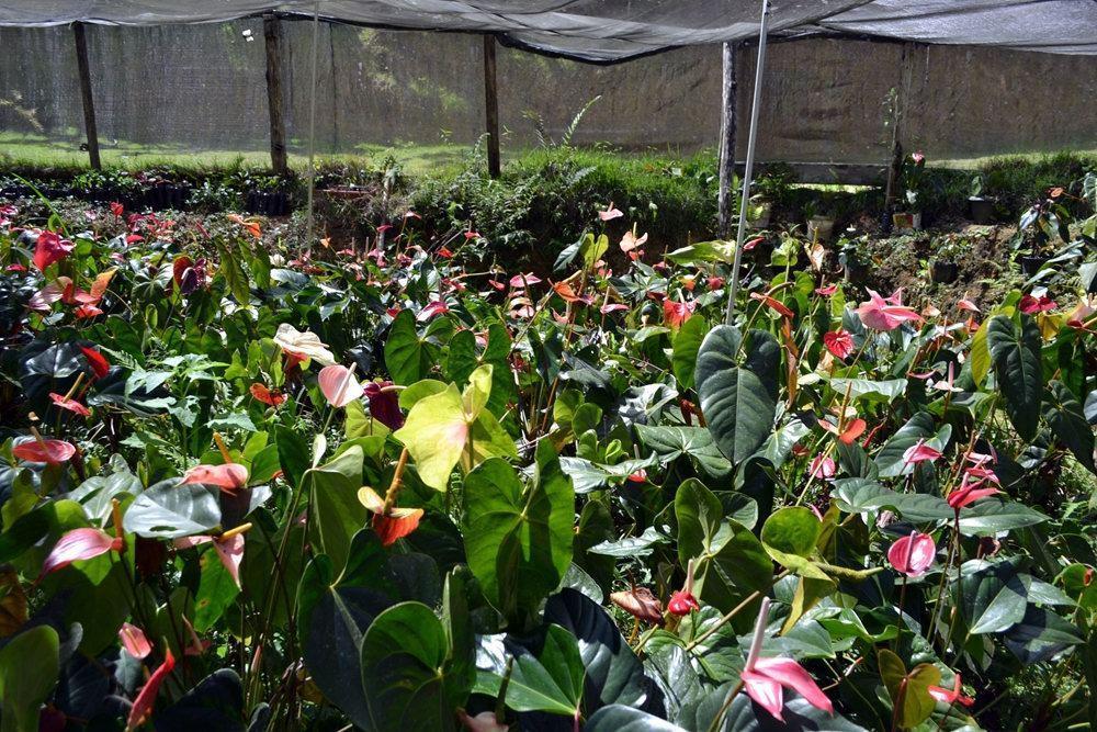 Pousada Recanto da Mata ES Marechal Floriano Luaran gambar