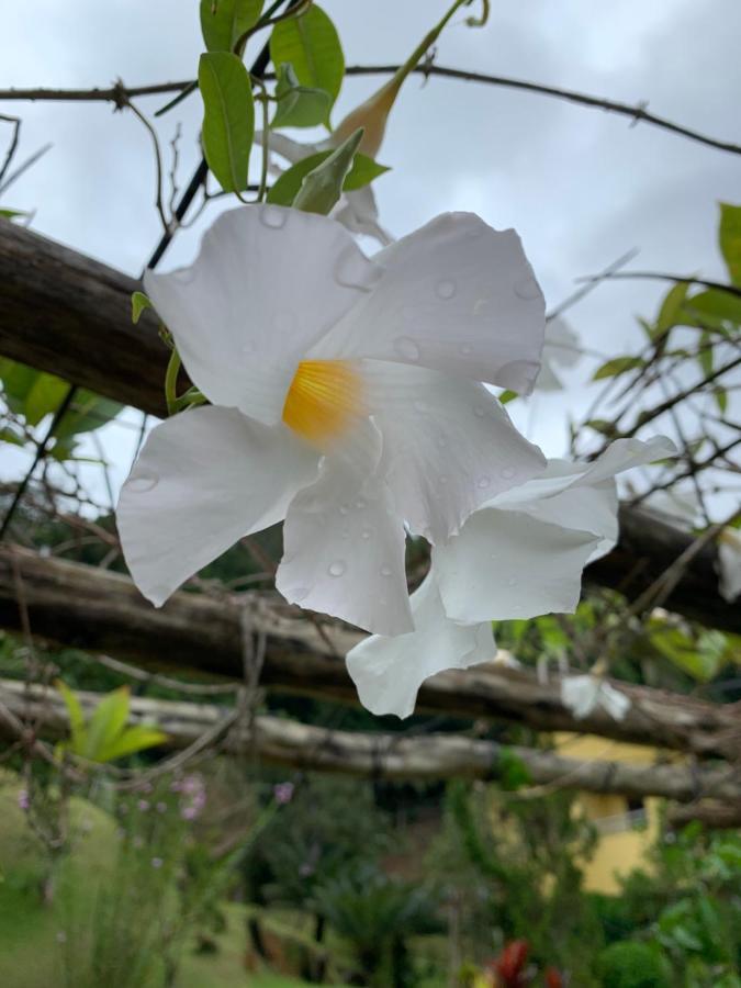 Pousada Recanto da Mata ES Marechal Floriano Luaran gambar